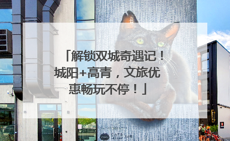 解锁双城奇遇记！城阳+高青，文旅优惠畅玩不停！