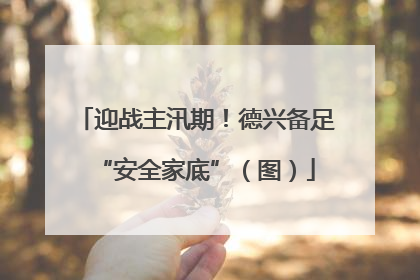 迎战主汛期！德兴备足“安全家底”（图）