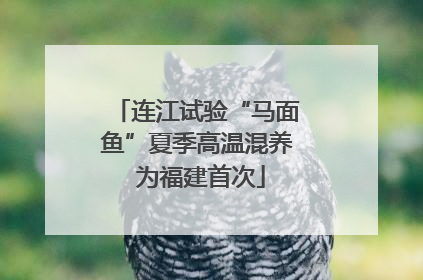 连江试验“马面鱼”夏季高温混养 为福建首次
