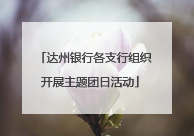 达州银行各支行组织开展主题团日活动