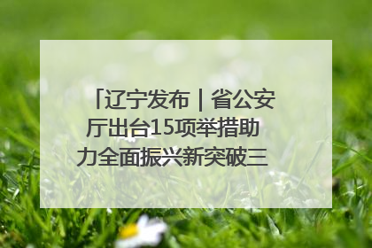 辽宁发布｜省公安厅出台15项举措助力全面振兴新突破三年行动决胜之战