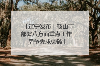 辽宁发布｜鞍山市部署八方面重点工作勇争先求突破