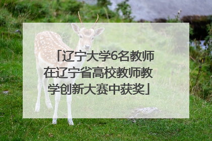 辽宁大学6名教师在辽宁省高校教师教学创新大赛中获奖