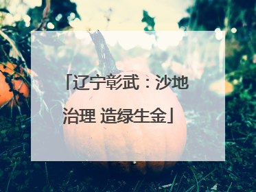 辽宁彰武：沙地治理 造绿生金