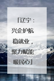辽宁：兴企护航稳就业，聚力赋能暖民心