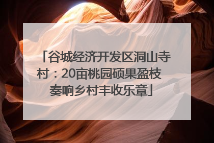 谷城经济开发区洞山寺村：20亩桃园硕果盈枝 奏响乡村丰收乐章