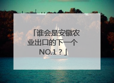 谁会是安徽农业出口的下一个NO.1？