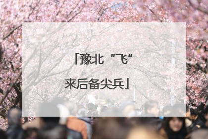 豫北“飞”来后备尖兵