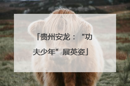 贵州安龙：“功夫少年”展英姿