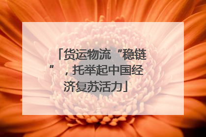 货运物流“稳链”，托举起中国经济复苏活力