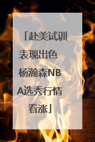 赴美试训表现出色 杨瀚森NBA选秀行情看涨