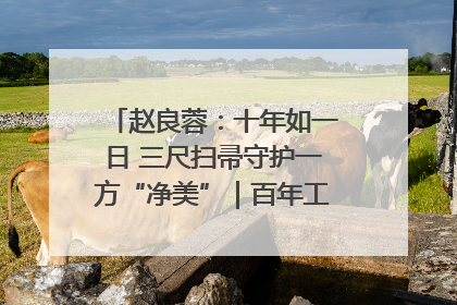 赵良蓉：十年如一日 三尺扫帚守护一方“净美”｜百年工运·劳模说