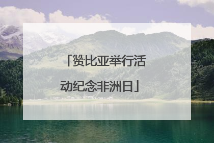 赞比亚举行活动纪念非洲日
