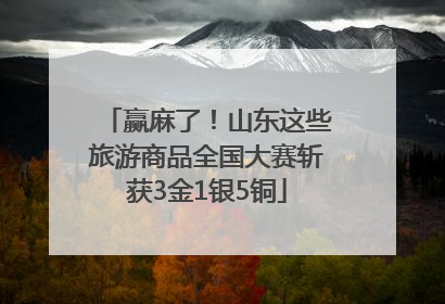 赢麻了！山东这些旅游商品全国大赛斩获3金1银5铜