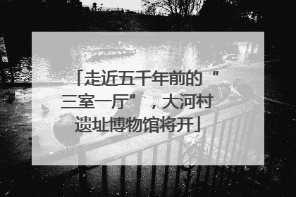 走近五千年前的“三室一厅”，大河村遗址博物馆将开