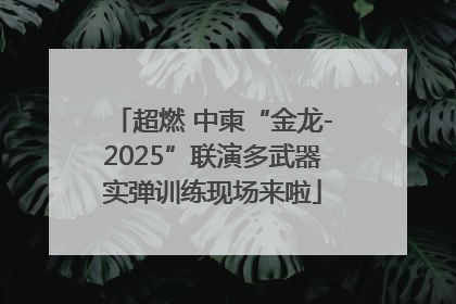 超燃 中柬“金龙-2025”联演多武器实弹训练现场来啦