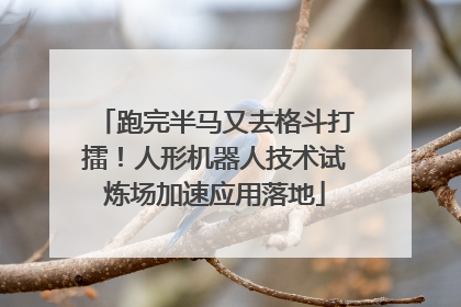 跑完半马又去格斗打擂！人形机器人技术试炼场加速应用落地