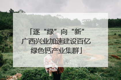 逐“绿”向“新” 广西兴业加速建设百亿绿色钙产业集群