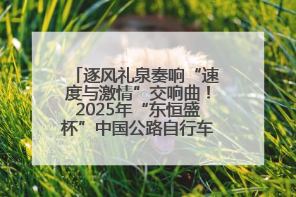 逐风礼泉奏响“速度与激情”交响曲！2025年“东恒盛杯”中国公路自行车联赛第五站（陕西·礼泉站）正式开赛