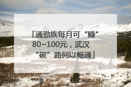 通勤族每月可“赚”80~100元，武汉“碳”路何以畅通