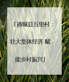 通城县五里村：壮大集体经济 赋能乡村振兴