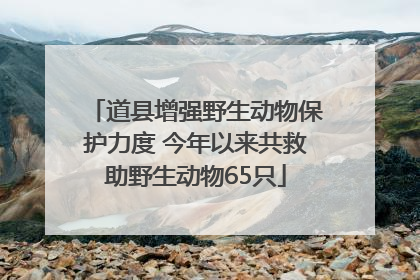 道县增强野生动物保护力度 今年以来共救助野生动物65只
