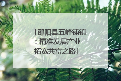 邵阳县五峰铺镇：精准发展产业 拓宽共富之路