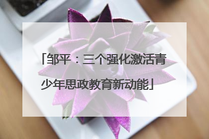 邹平：三个强化激活青少年思政教育新动能