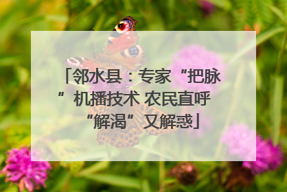 邻水县：专家“把脉”机播技术 农民直呼“解渴”又解惑