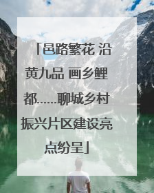 邑路繁花 沿黄九品 画乡鲤都……聊城乡村振兴片区建设亮点纷呈