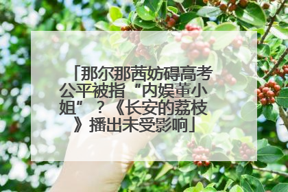 那尔那茜妨碍高考公平被指“内娱董小姐”？《长安的荔枝》播出未受影响