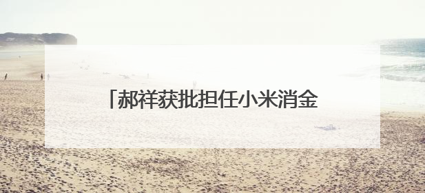 郝祥获批担任小米消金总助兼董秘，小米集团资本版图再现协同扩张