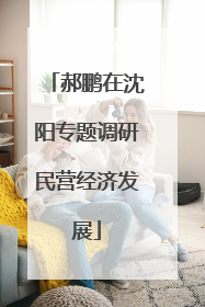 郝鹏在沈阳专题调研民营经济发展