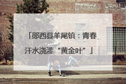 郧西县羊尾镇：青春汗水浇灌“黄金叶”