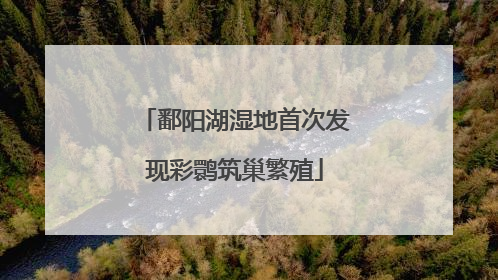 鄱阳湖湿地首次发现彩鹮筑巢繁殖