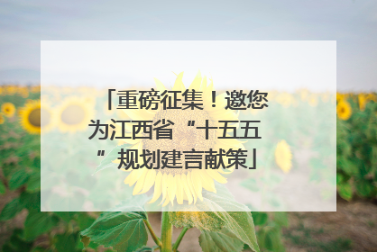 重磅征集！邀您为江西省“十五五”规划建言献策