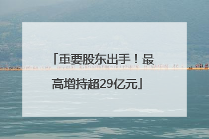 重要股东出手！最高增持超29亿元