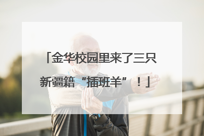 金华校园里来了三只新疆籍“插班羊”！