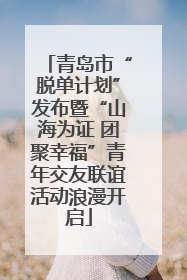 青岛市“脱单计划”发布暨“山海为证 团聚幸福”青年交友联谊活动浪漫开启