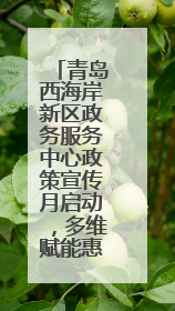 青岛西海岸新区政务服务中心政策宣传月启动，多维赋能惠企便民服务升级