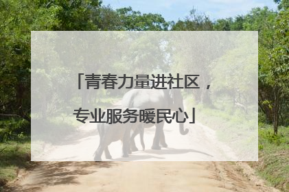 青春力量进社区，专业服务暖民心