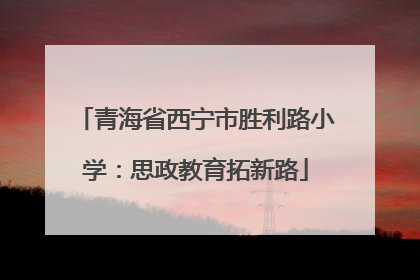 青海省西宁市胜利路小学：思政教育拓新路