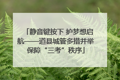 静音键按下 护梦想启航——道县城管多措并举保障“三考”秩序