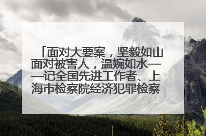 面对大要案，坚毅如山面对被害人，温婉如水——记全国先进工作者、上海市检察院经济犯罪检察部主任马玮玮