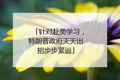 针对赴美学习，特朗普政府天天出招步步紧逼