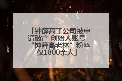 钟薛高子公司被申请破产 创始人账号“钟薛高老林”粉丝仅1800余人