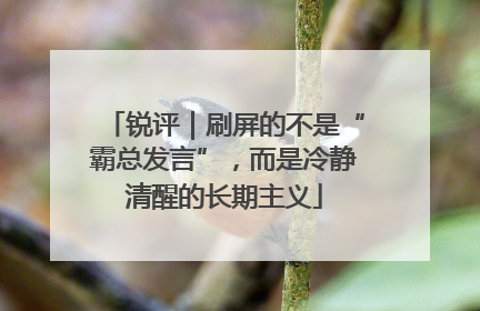 锐评｜刷屏的不是“霸总发言”，而是冷静清醒的长期主义