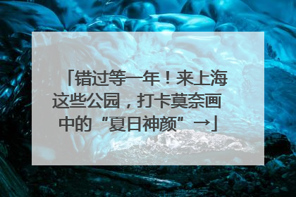 错过等一年！来上海这些公园，打卡莫奈画中的“夏日神颜”→