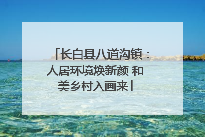 长白县八道沟镇：人居环境焕新颜 和美乡村入画来