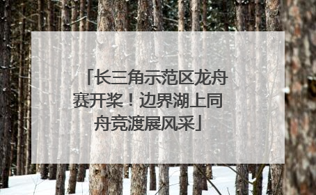 长三角示范区龙舟赛开桨！边界湖上同舟竞渡展风采